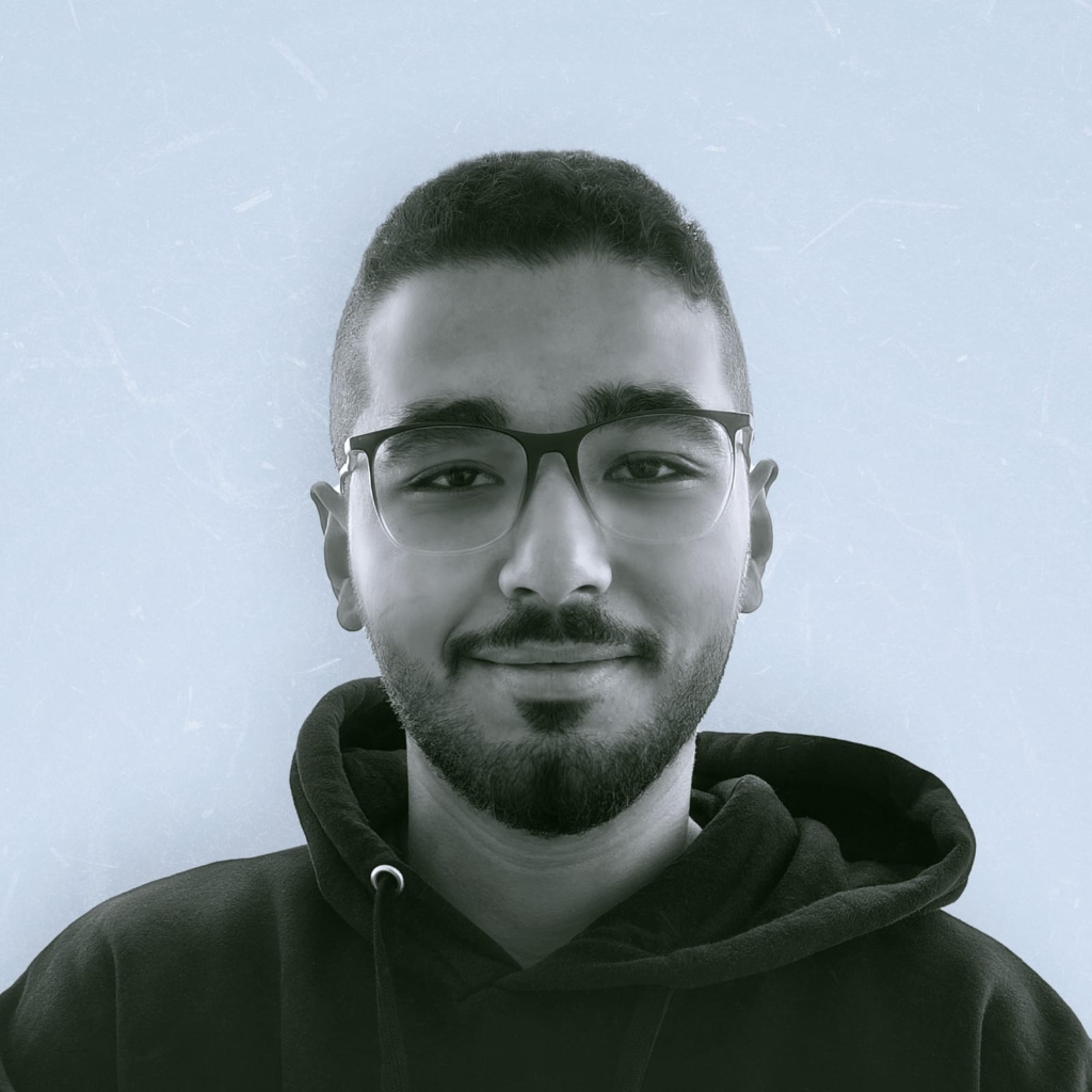 محمد ربيع علي